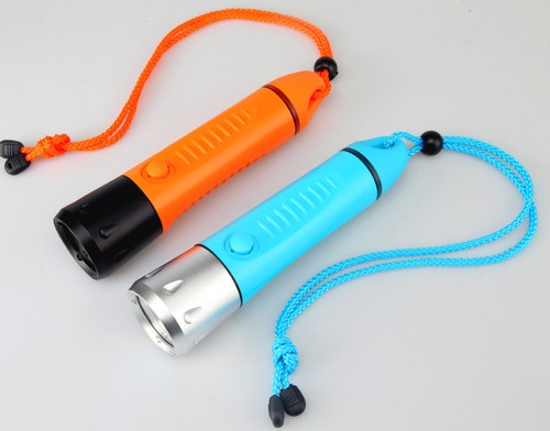 Professional diving 800lm - f8,